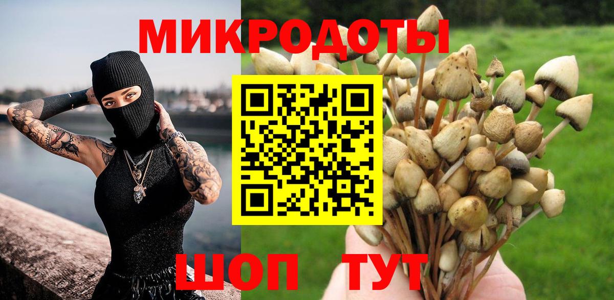 Галлюциногенные грибы Magic Shrooms  Вход с VPN  Россия  Галлюциногенные грибы Psilocybine cubensis 